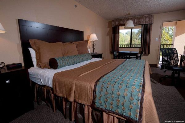 FREDERICKSBURG INN AND SUITES (Fredericksburg)